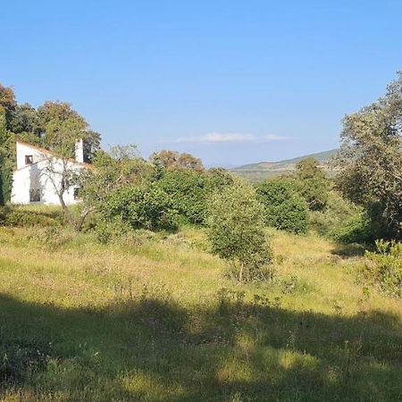 Loft Rural La Era 1 Daire Aracena Dış mekan fotoğraf