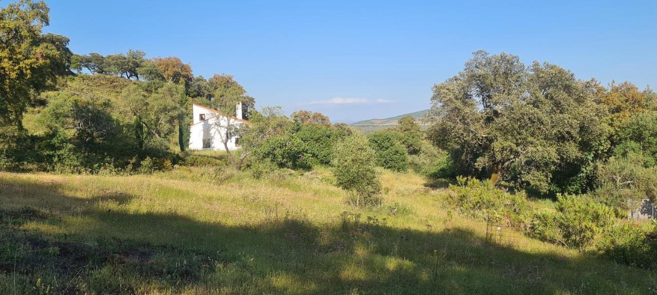 Loft Rural La Era 1 Daire Aracena Dış mekan fotoğraf